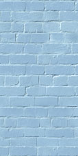 Baby Blue