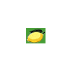 Lemons Icon