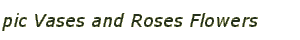 pic Vases and Roses Flowers